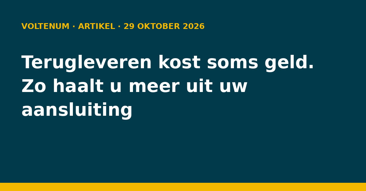 Terugleveren kost soms geld. Zo haalt u meer uit uw aansluiting